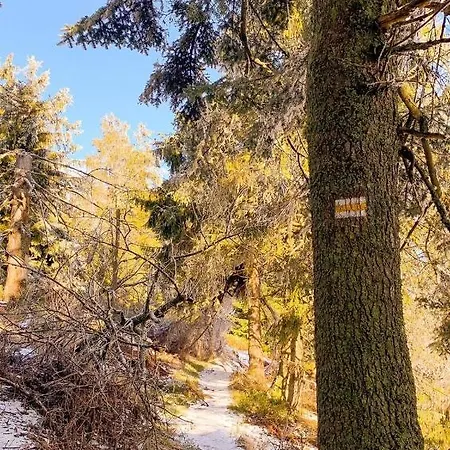 Διαμέρισμα Telkom 1 *