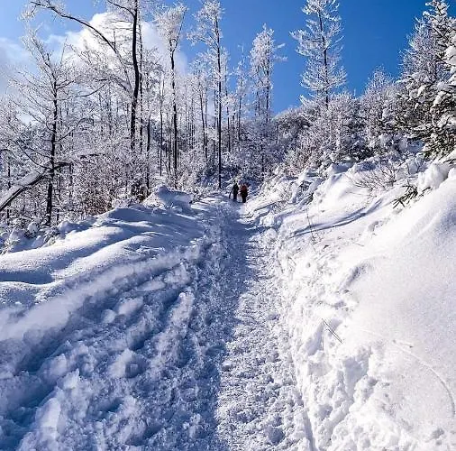 Διαμέρισμα Telkom 1 *