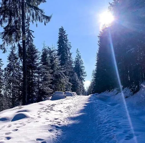 Telkom 1 Διαμέρισμα