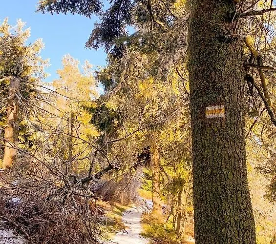 Διαμέρισμα Telkom 1 *